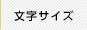 文字サイズ